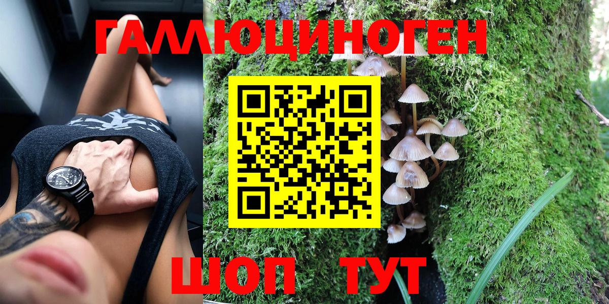 Галлюциногенные грибы GOLDEN TEACHER Новый Уренгой