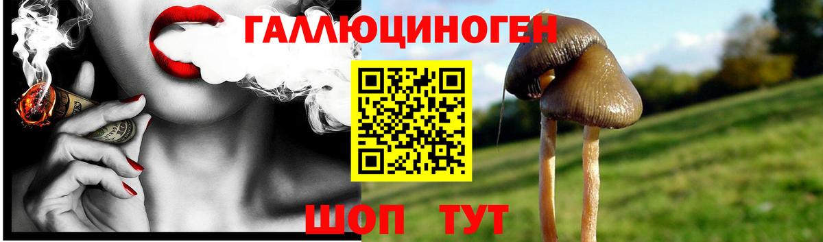 Псилоцибиновые грибы MAGIC MUSHROOMS  Вход с VPN  Новый Уренгой 